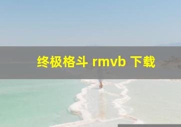 终极格斗 rmvb 下载